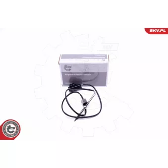 Capteur, température des gaz ESEN SKV 30SKV308