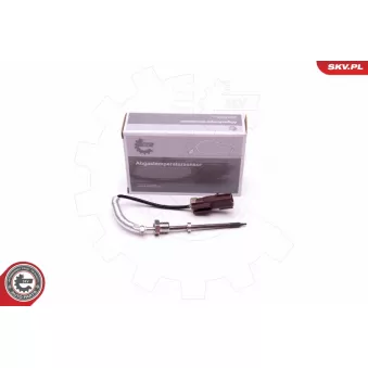 Capteur, température des gaz ESEN SKV 30SKV309