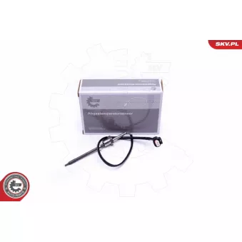 Capteur, température des gaz ESEN SKV 30SKV310