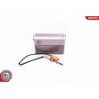Capteur, température des gaz ESEN SKV 30SKV313 - Visuel 1