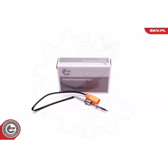Capteur, température des gaz ESEN SKV 30SKV313