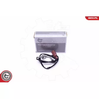Capteur, température des gaz ESEN SKV 30SKV316