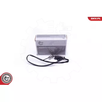 Capteur, température des gaz ESEN SKV 30SKV317