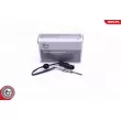 Capteur, température des gaz ESEN SKV 30SKV318 - Visuel 1