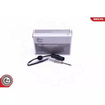 Capteur, température des gaz ESEN SKV 30SKV318