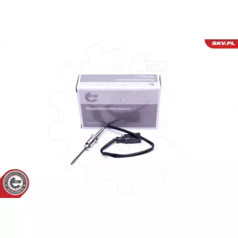 Capteur, température des gaz ESEN SKV 30SKV320
