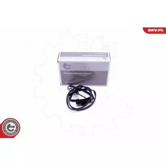 Capteur, température des gaz ESEN SKV 30SKV321