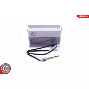 Capteur, température des gaz ESEN SKV 30SKV322