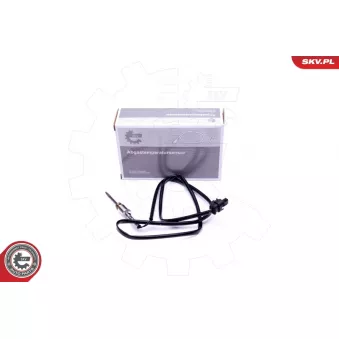 Capteur, température des gaz ESEN SKV 30SKV325