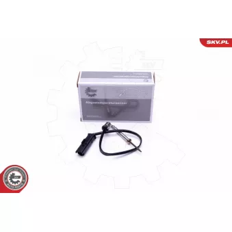 Capteur, température des gaz ESEN SKV 30SKV328