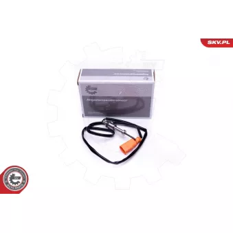 Capteur, température des gaz ESEN SKV 30SKV330