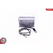 Capteur, température des gaz ESEN SKV 30SKV331 - Visuel 1