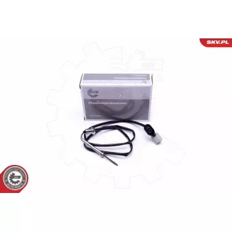 Capteur, température des gaz ESEN SKV 30SKV331