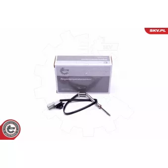 Capteur, température des gaz ESEN SKV 30SKV332