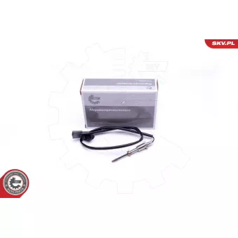 Capteur, température des gaz ESEN SKV 30SKV333