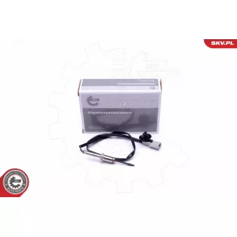 Capteur, température des gaz ESEN SKV 30SKV334