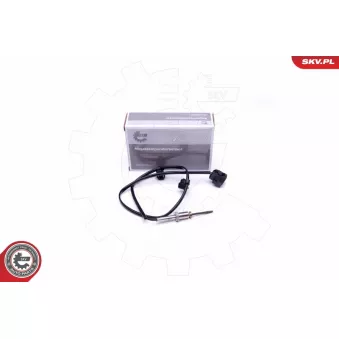 Capteur, température des gaz ESEN SKV 30SKV337