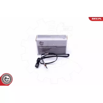 Capteur, température des gaz ESEN SKV 30SKV338