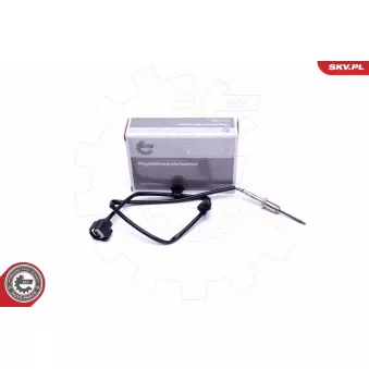 Capteur, température des gaz ESEN SKV