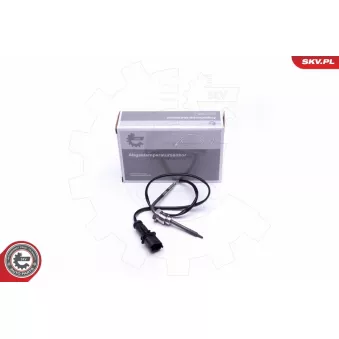 Capteur, température des gaz ESEN SKV