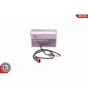 Capteur, température des gaz ESEN SKV
