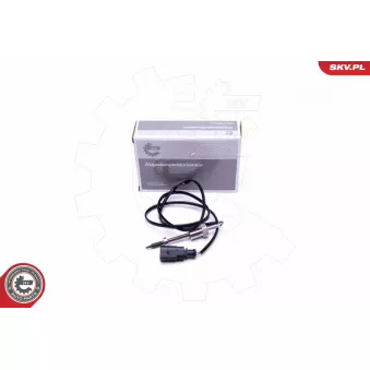 Capteur, température des gaz ESEN SKV 30SKV346