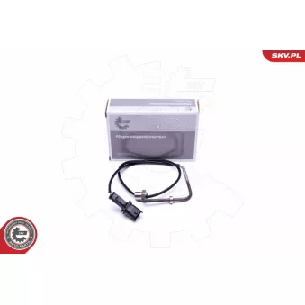 Capteur, température des gaz ESEN SKV 30SKV348