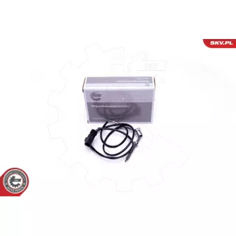 Capteur, température des gaz ESEN SKV