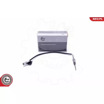 Capteur, température des gaz ESEN SKV 30SKV354