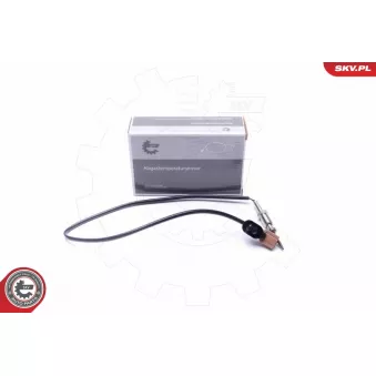 Capteur, température des gaz ESEN SKV 30SKV355