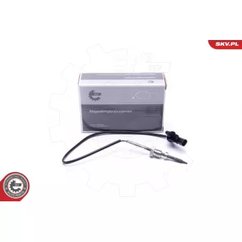 Capteur, température des gaz ESEN SKV 30SKV356