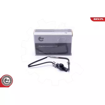 Capteur, température des gaz ESEN SKV 30SKV357