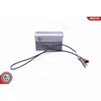 Capteur, température des gaz ESEN SKV 30SKV358
