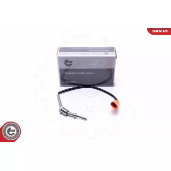 Capteur, température des gaz ESEN SKV 30SKV360