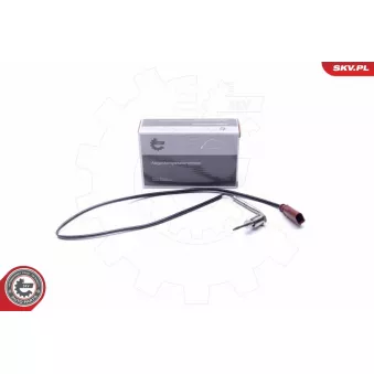 Capteur, température des gaz ESEN SKV