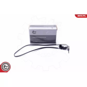 Capteur, température des gaz ESEN SKV 30SKV362