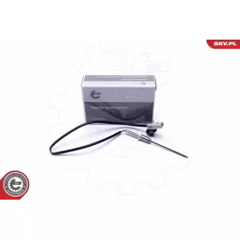 Capteur, température des gaz ESEN SKV 30SKV363