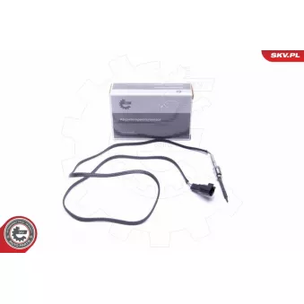 Capteur, température des gaz ESEN SKV 30SKV365