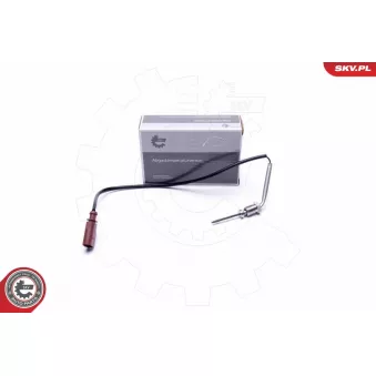 Capteur, température des gaz ESEN SKV 30SKV366