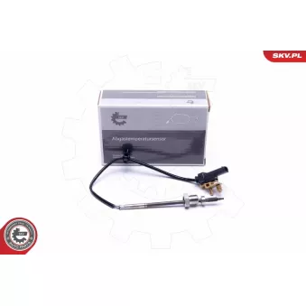 Capteur, température des gaz ESEN SKV 30SKV368