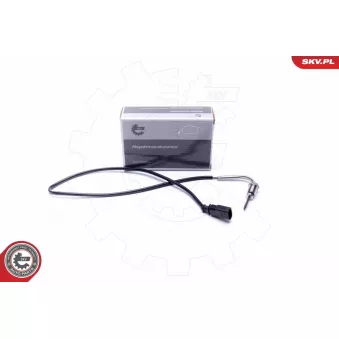 Capteur, température des gaz ESEN SKV 30SKV370
