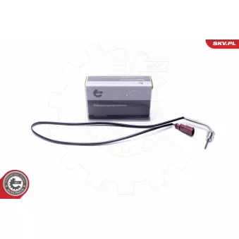 Capteur, température des gaz ESEN SKV 30SKV371