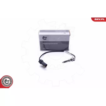 Capteur, température des gaz ESEN SKV 30SKV374