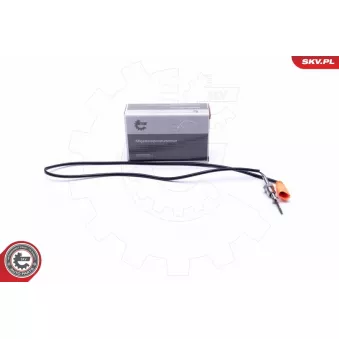 Capteur, température des gaz ESEN SKV 30SKV375