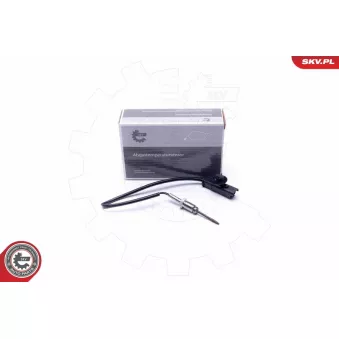 Capteur, température des gaz ESEN SKV