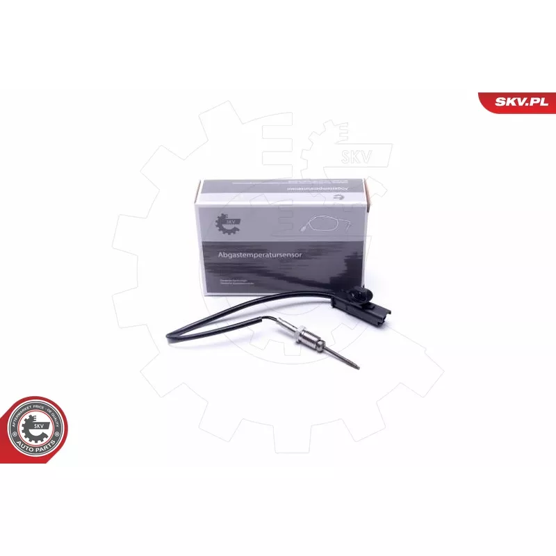 Capteur, température des gaz ESEN SKV 30SKV376