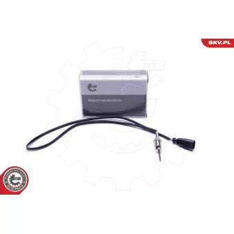 Capteur, température des gaz ESEN SKV 30SKV378
