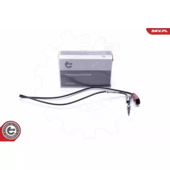 Capteur, température des gaz ESEN SKV 30SKV379