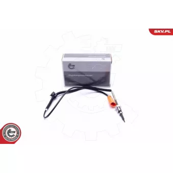Capteur, température des gaz ESEN SKV 30SKV380