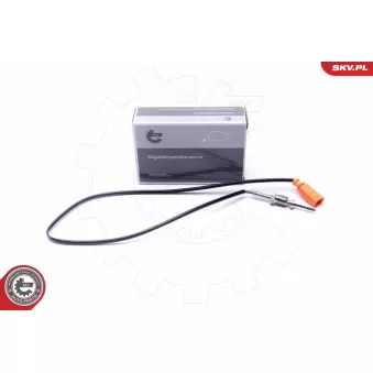 Capteur, température des gaz ESEN SKV 30SKV382